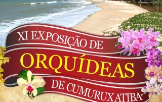 exposicao de orquideas em Cumuruxatiba